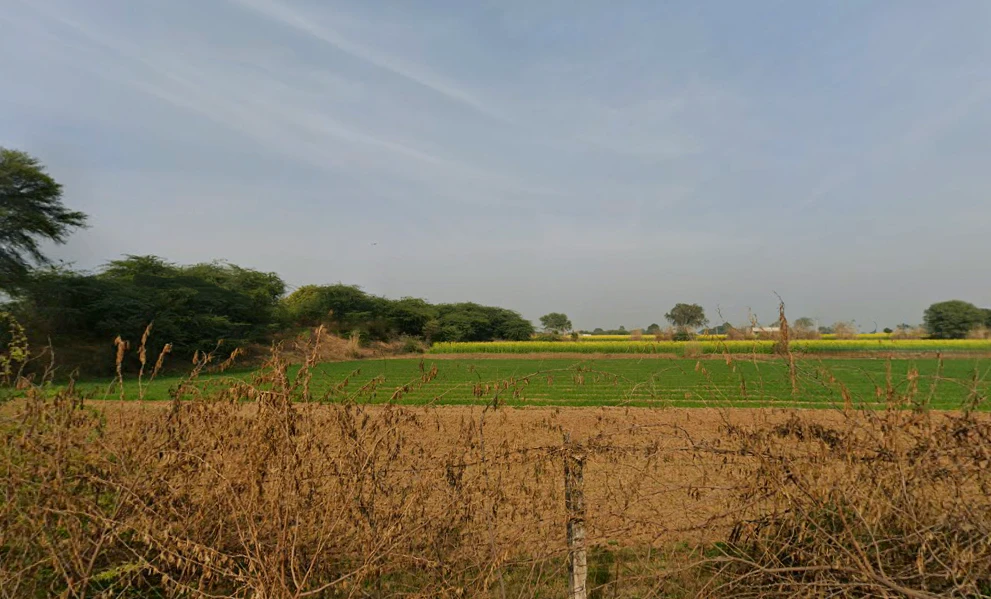G4QG+GWR, Dharampuri, Rajasthan, India