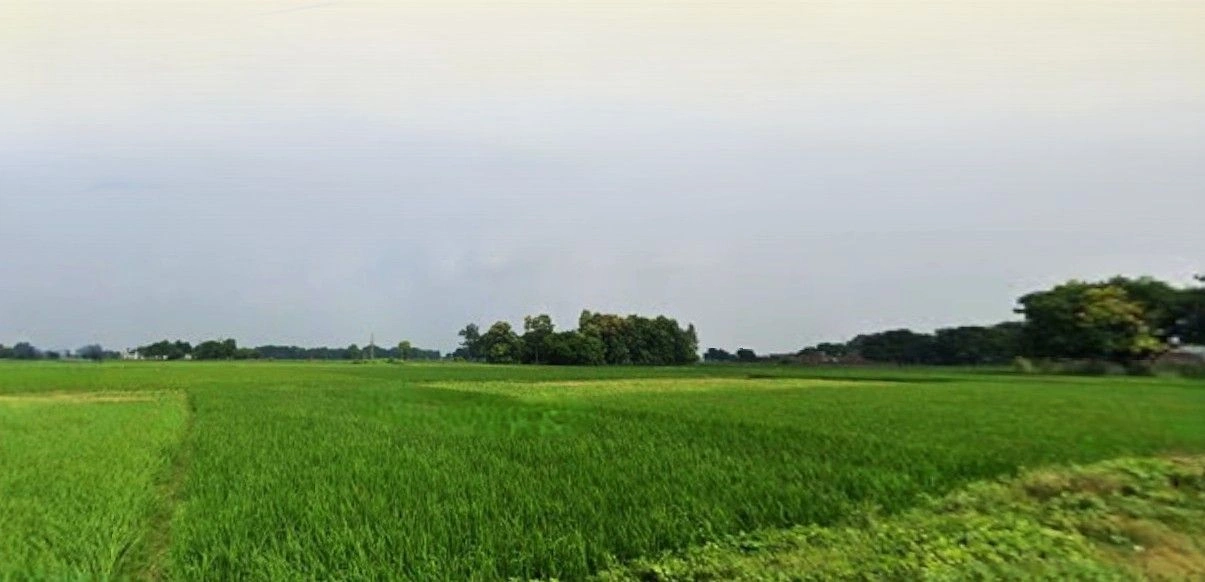 Asrawe Khurd, Uttar Pradesh 211012, India