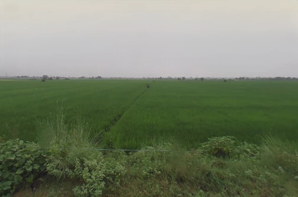 Dhampur Kando, Uttar Pradesh 244410, India preview 2