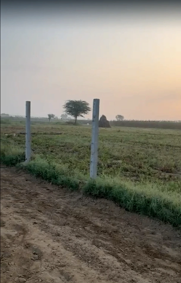 Manpura, Dudu, Rajasthan 303009, India