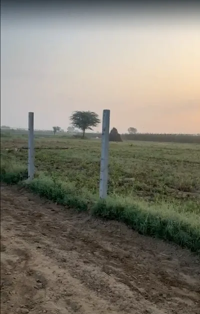 Manpura, Dudu, Rajasthan 303009, India preview 2
