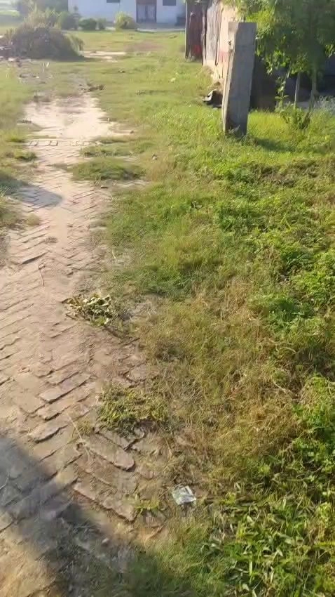 C26M+6Q3, Mirzapur, Bihar 803203, India