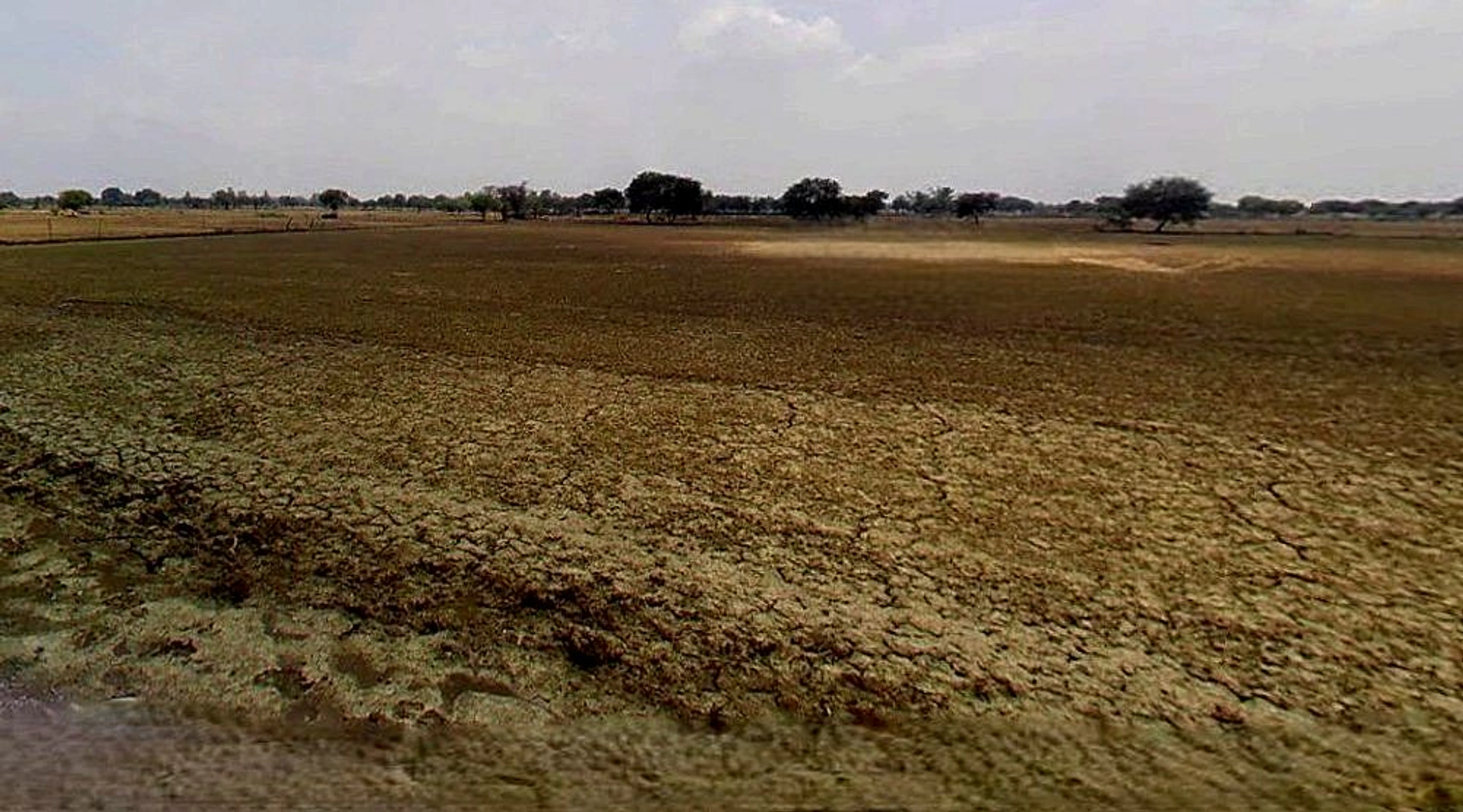 Jhusi, Uttar Pradesh 211019, India