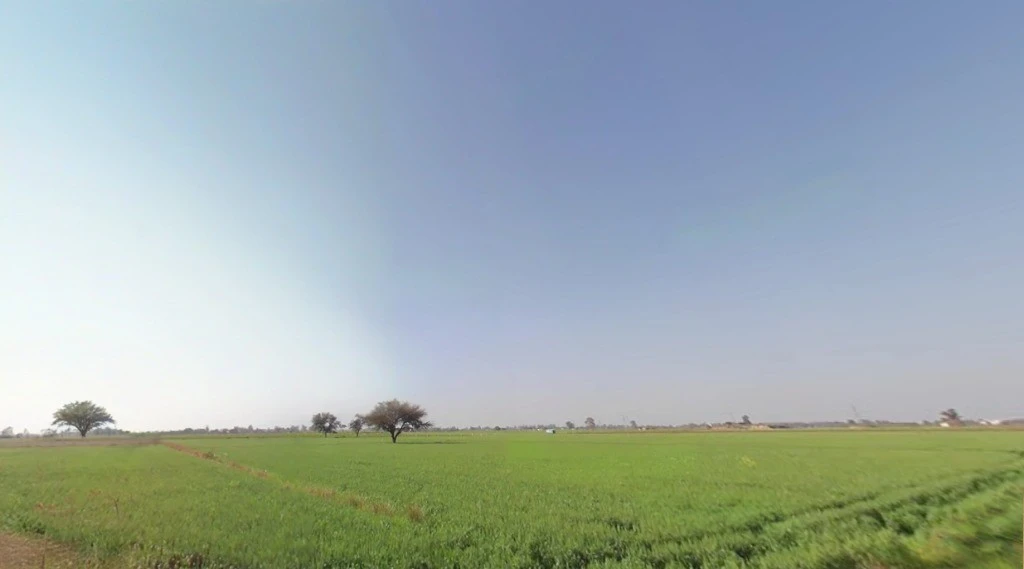 Old Talav Road, Jhajjar, Haryana 124103, India