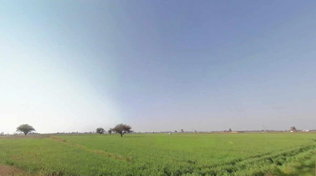 Old Talav Road, Jhajjar, Haryana 124103, India