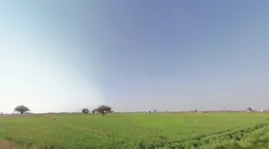 Old Talav Road, Jhajjar, Haryana 124103, India preview 2