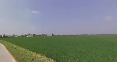 Thakurdwara, Uttar Pradesh 244601, India preview 2