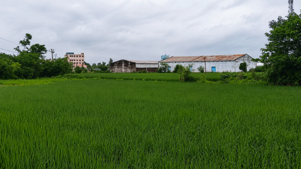 V6G9+HXC, Rampur, Mahesh Pura, Uttar Pradesh 244921, India