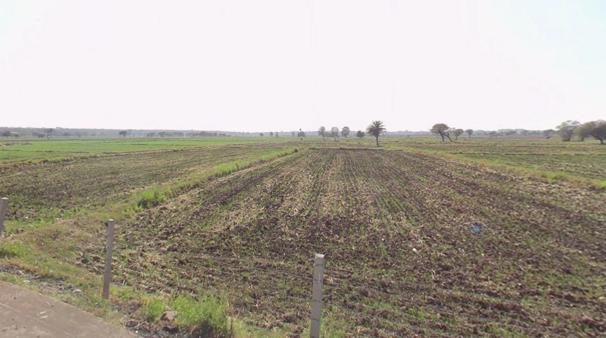 Kadoda, Madhya Pradesh 453220, India