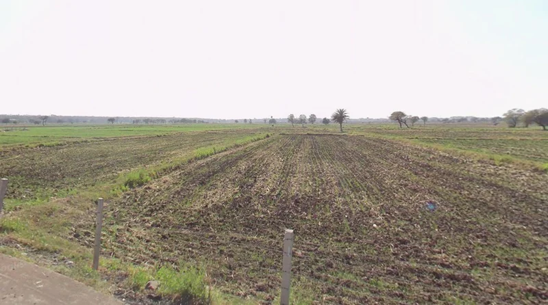 Kadoda, Madhya Pradesh 453220, India preview 2