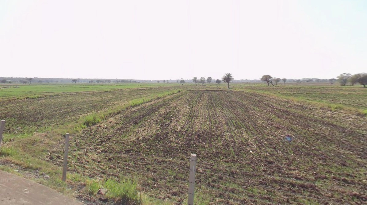 Kadoda, Madhya Pradesh 453220, India