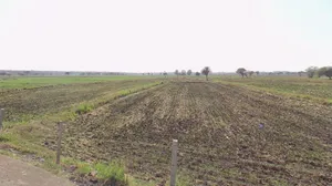 Kadoda, Madhya Pradesh 453220, India preview 2