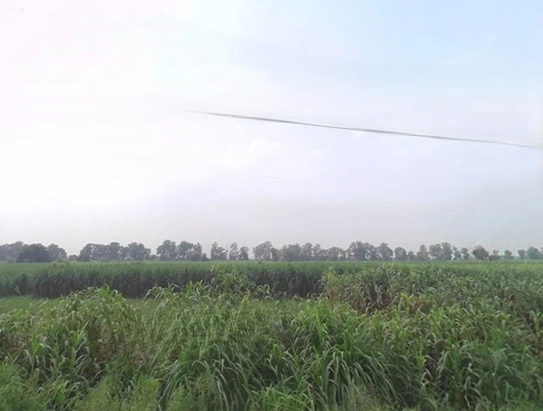 Baraut, Uttar Pradesh 250611, India