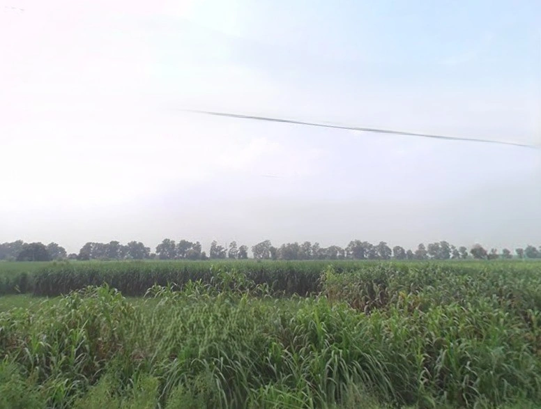 Baraut, Uttar Pradesh 250611, India