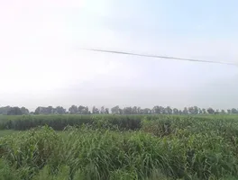 Baraut, Uttar Pradesh 250611, India preview 2