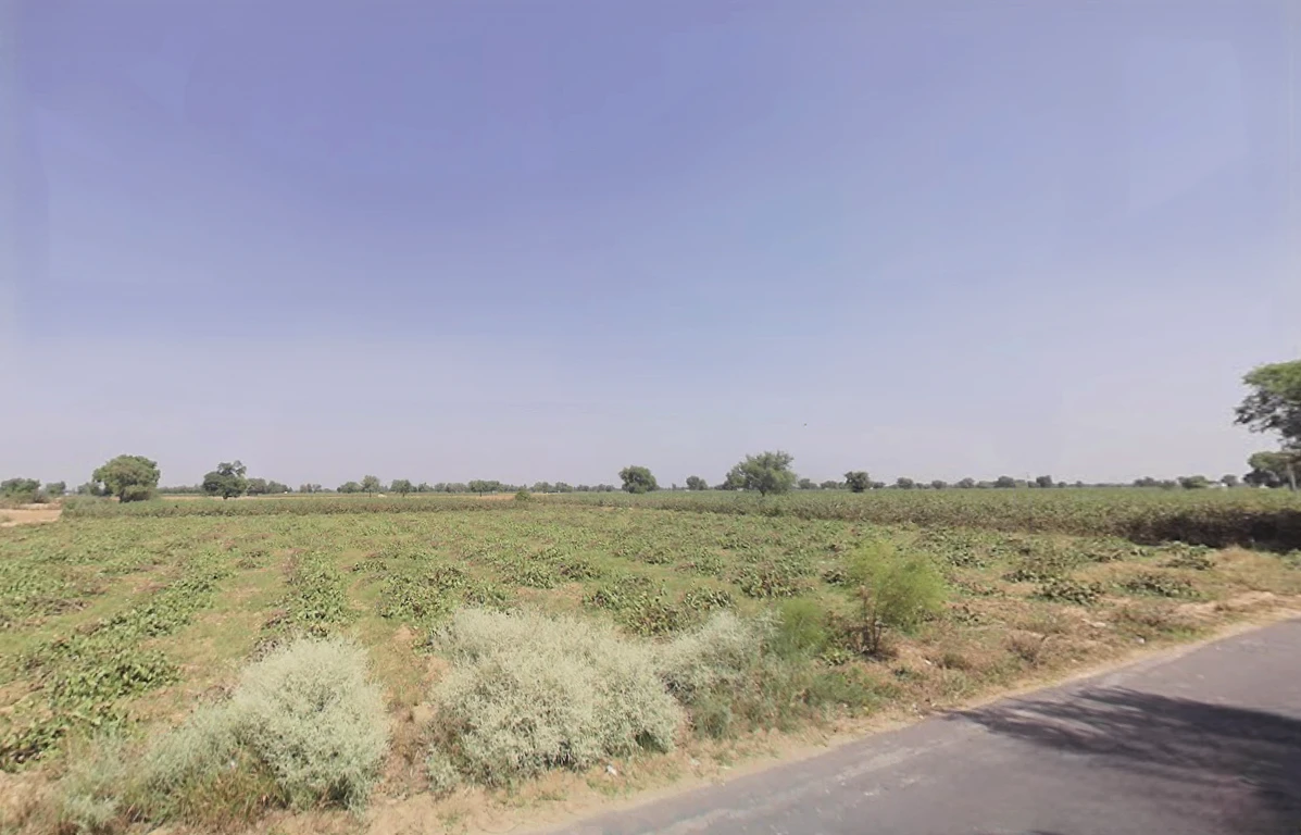 Gigo Rani, Haryana 125110, India