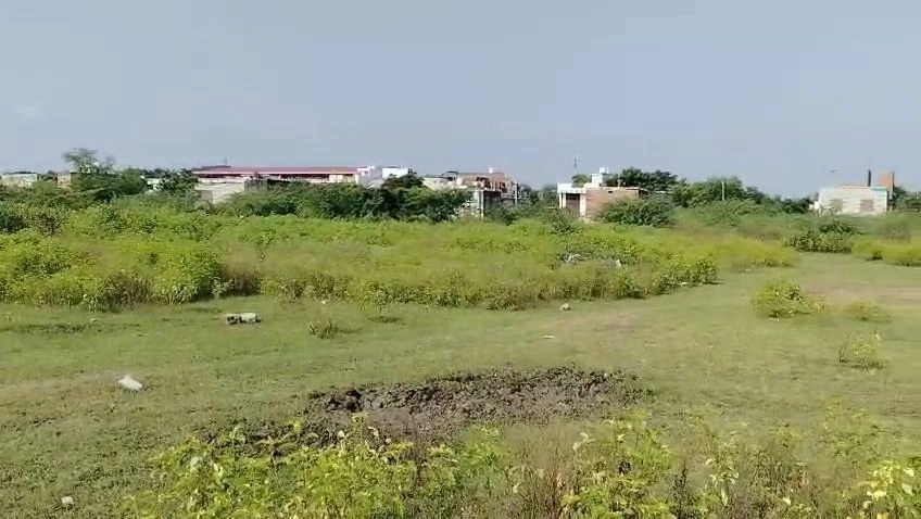 Devli Khurd, Kota, Rajasthan 326519, India