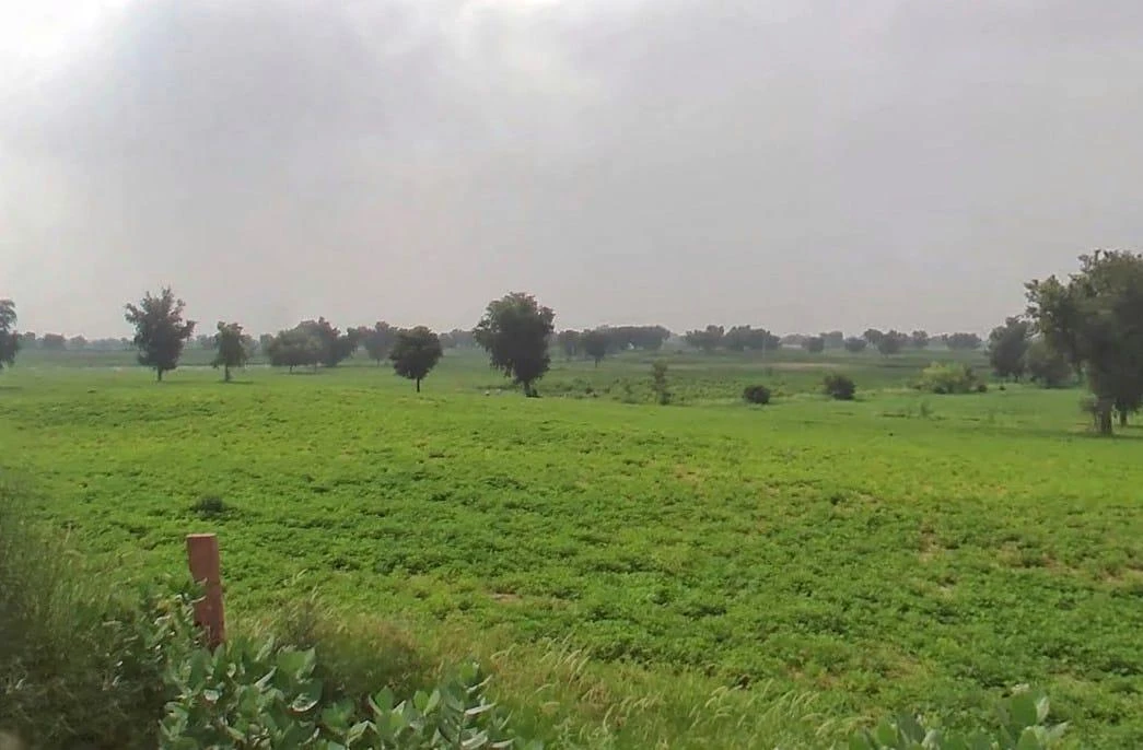 WVM8+576, Arjansar, Rajasthan 334604, India