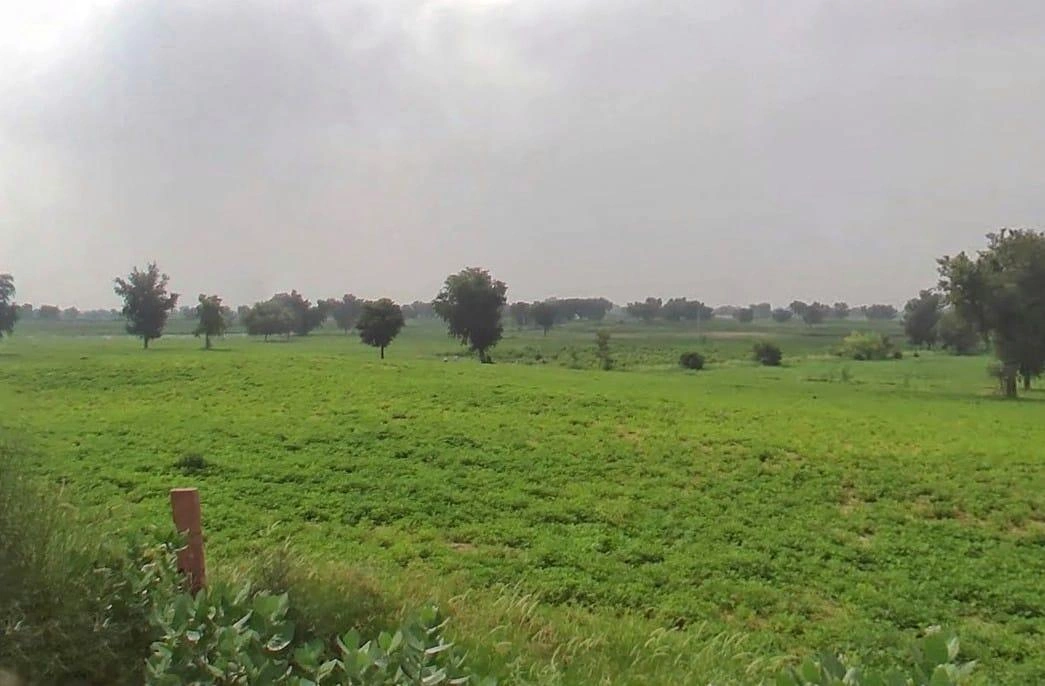 WVM8+576, Arjansar, Rajasthan 334604, India