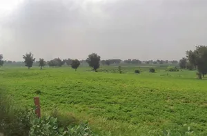 WVM8+576, Arjansar, Rajasthan 334604, India preview 3