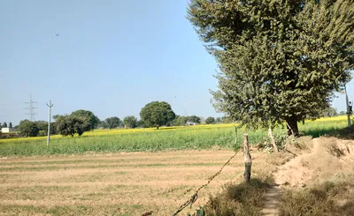Tappal, Uttar Pradesh 202165, India preview 3