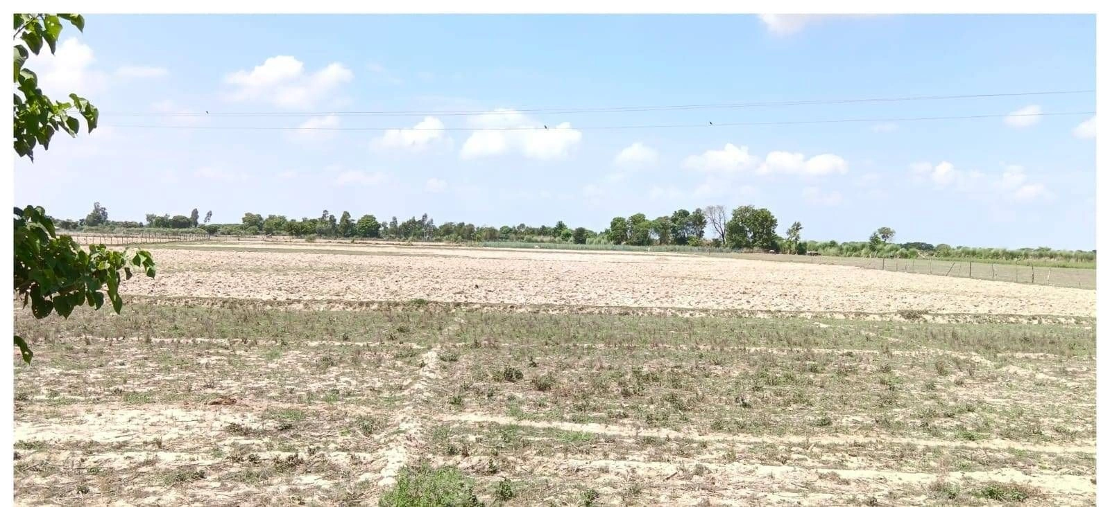 PXPF+QR Gaura Kurmiyan, Uttar Pradesh, India