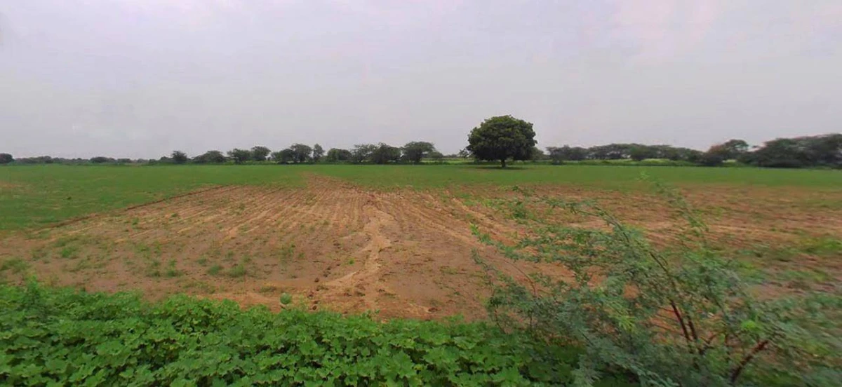 Haridwar, Uttarakhand, India
