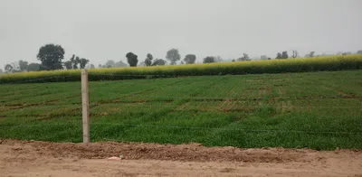 Bhadson Rd, Ranjit Nagar, Patiala, Punjab, India preview 3