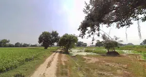 Jaisalmer, Rajasthan 345001, India preview 3