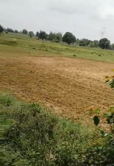 Marihan, Mirzapur, Uttar Pradesh 231210, India preview 2