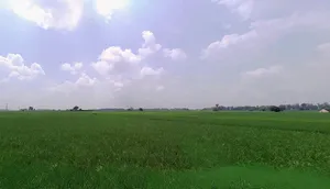 Ahun, Haryana 136021, India preview 3