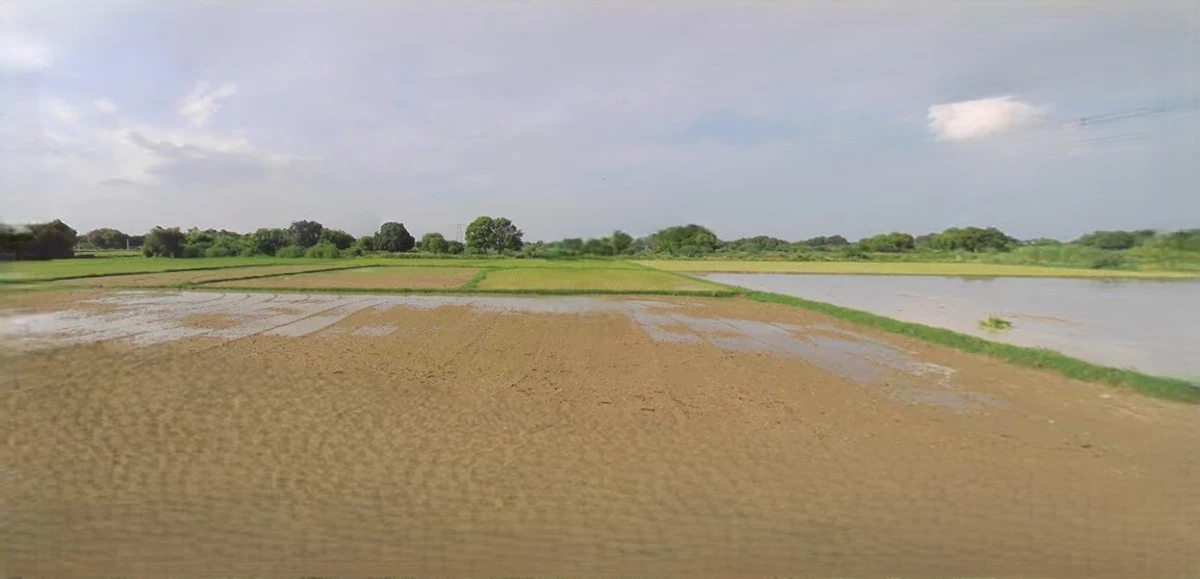 Nuh, Haryana, India