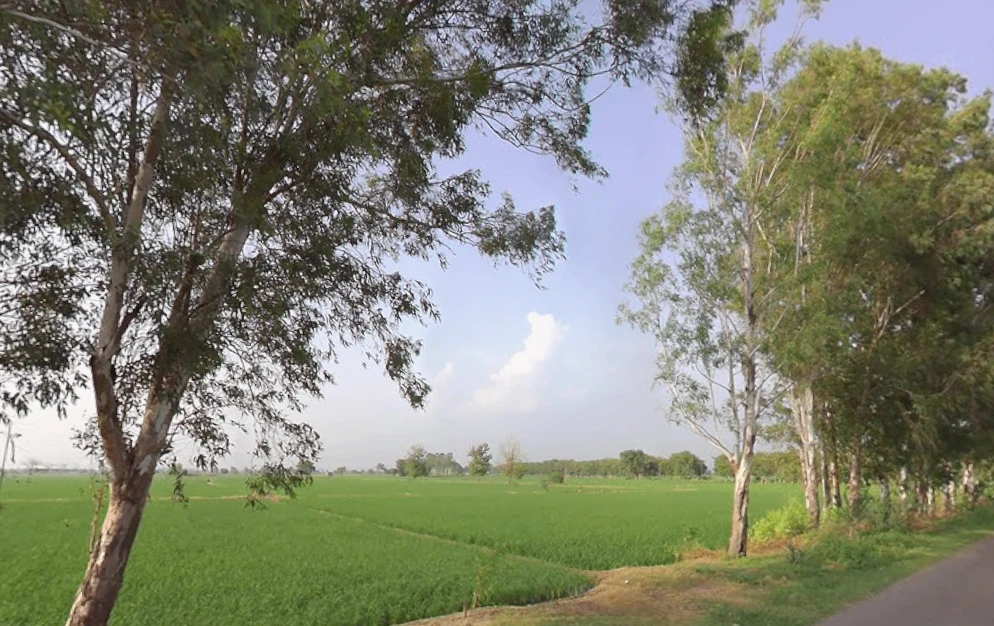 Budge Budge, Kolkata, West Bengal, India