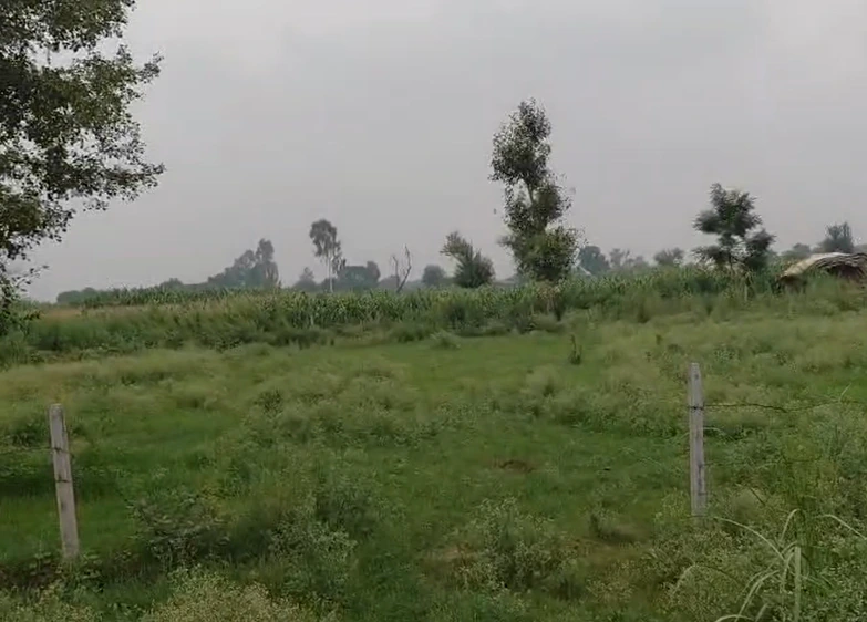 393M+Q8 Barnagar, Ujjain, Madhya Pradesh, India