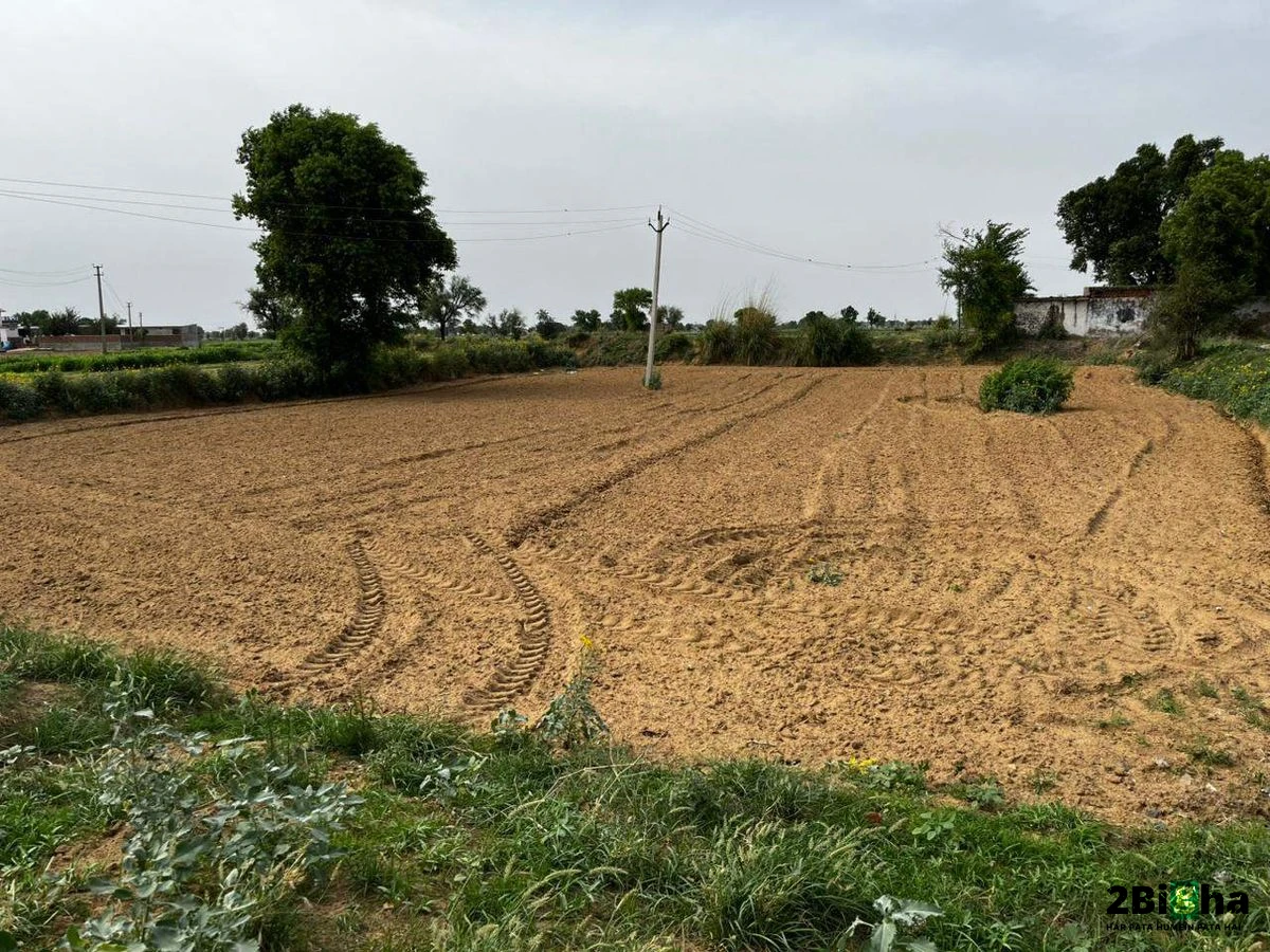 Lucknow, Uttar Pradesh, India