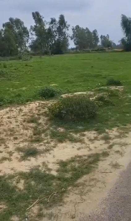 Lakhimpur, Uttar Pradesh 262701, India