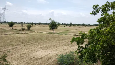 Anupshahar, Uttar Pradesh 203390, India preview 3