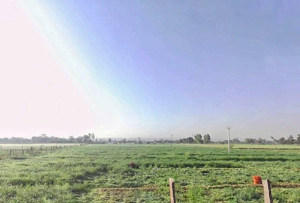 GGF2+JV Raghunathpura, Rajasthan, India