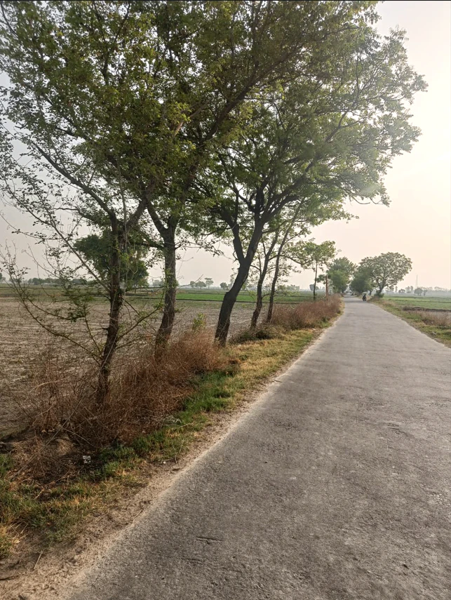 Kanadiya, Madhya Pradesh 452016, India
