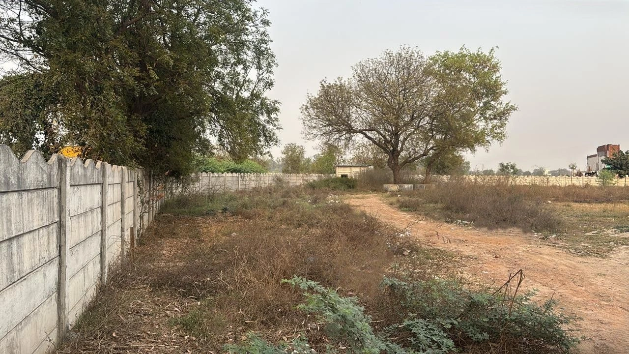 Hathin - Palwal Rd, Sector 10, Palwal, Palwalrural, Haryana 121102, India preview 2