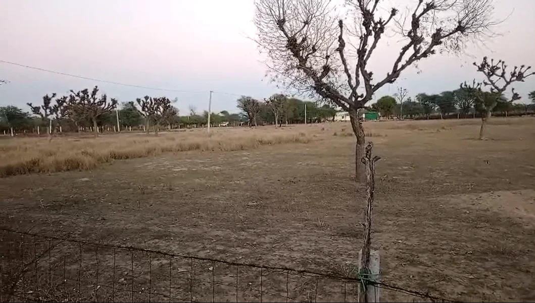 RCWJ+Q2 Kot Jewar, Rajasthan, India preview 3