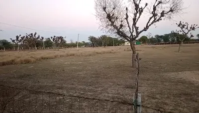 RCWJ+Q2 Kot Jewar, Rajasthan, India preview 3