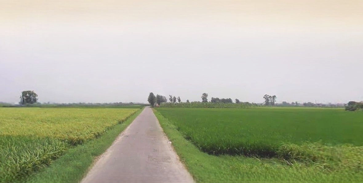 Hasanpur, Uttar Pradesh 244241, India