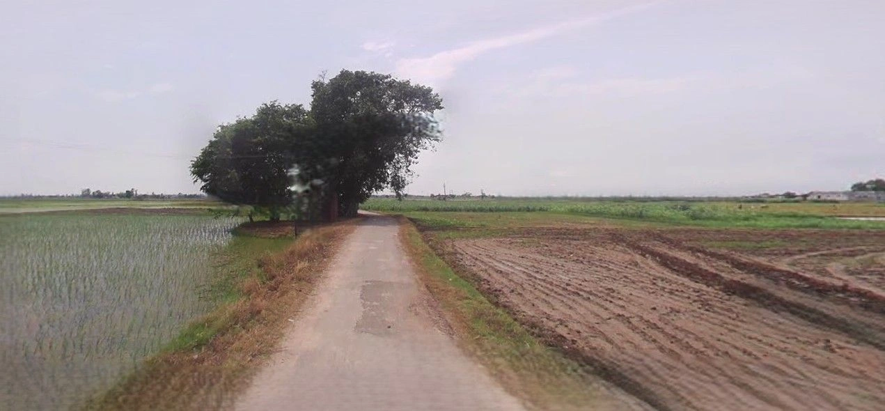 Mohanlalganj, Uttar Pradesh 226301, India preview 2