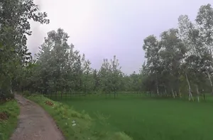 Fatehganj Pashchimi, Uttar Pradesh 243501, India preview 2