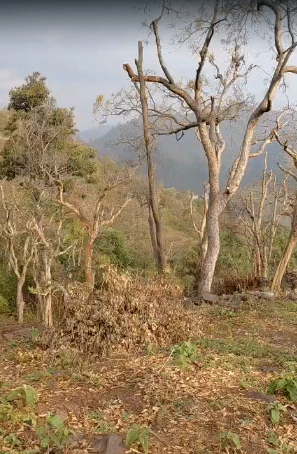 Morni Hills, Haryana, India