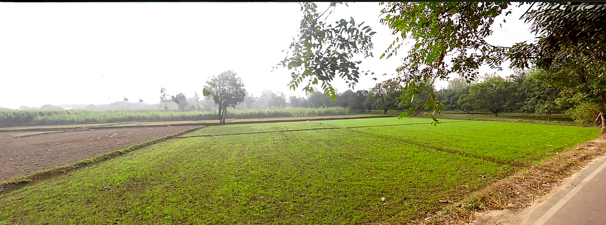 Hasanpur, Uttarakhand 247662, India