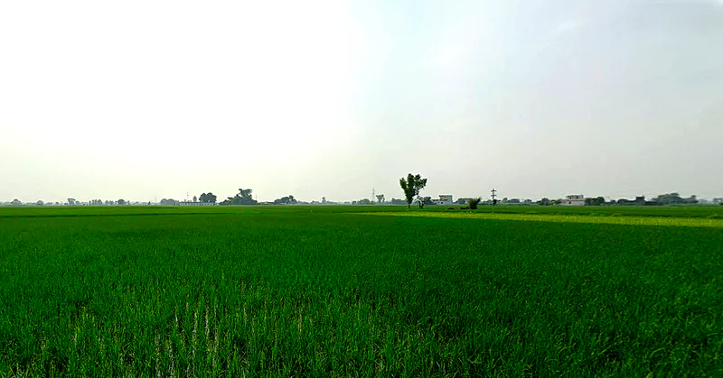 Beas, Punjab 143201, India preview 2