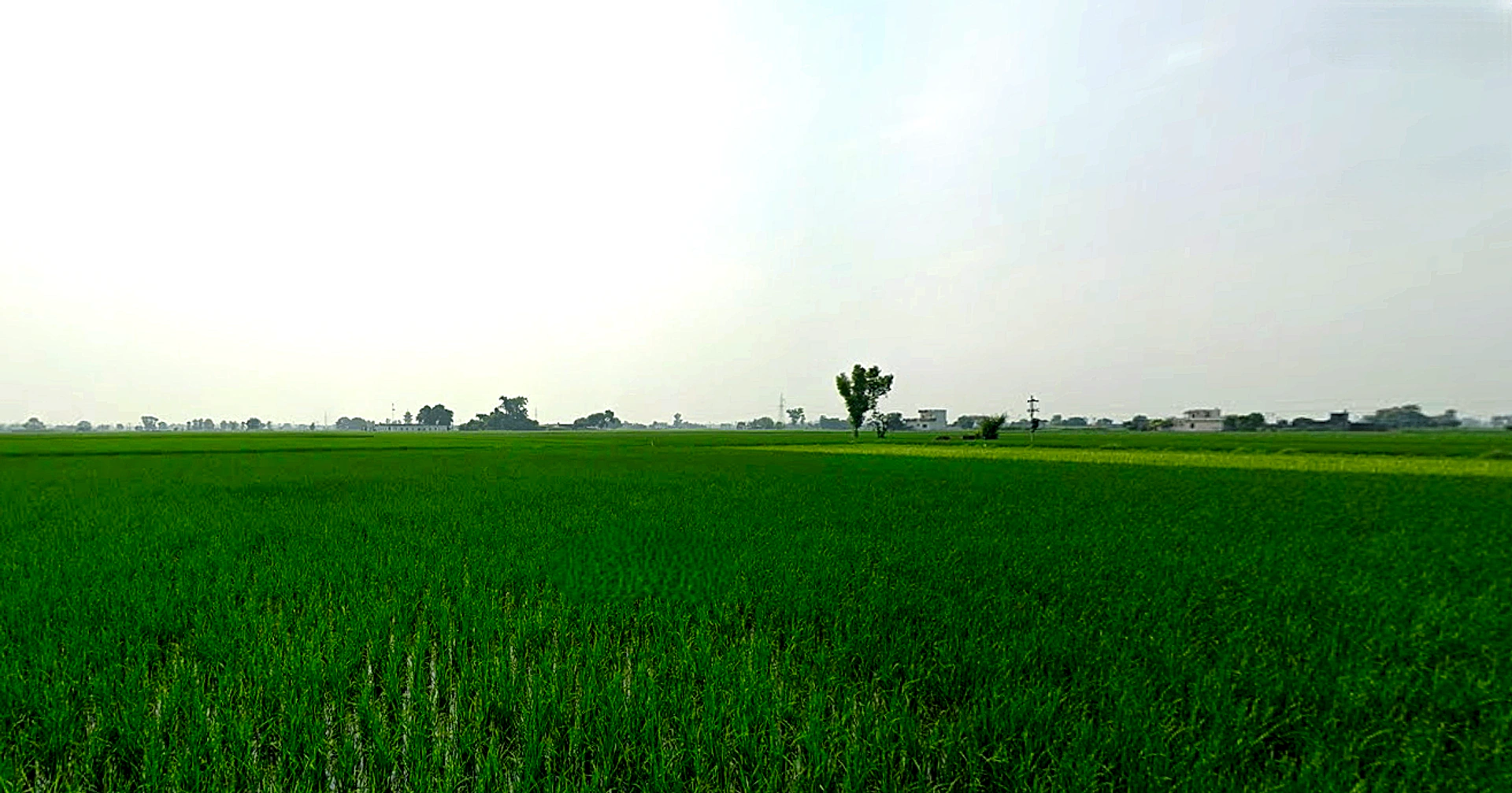 Beas, Punjab 143201, India