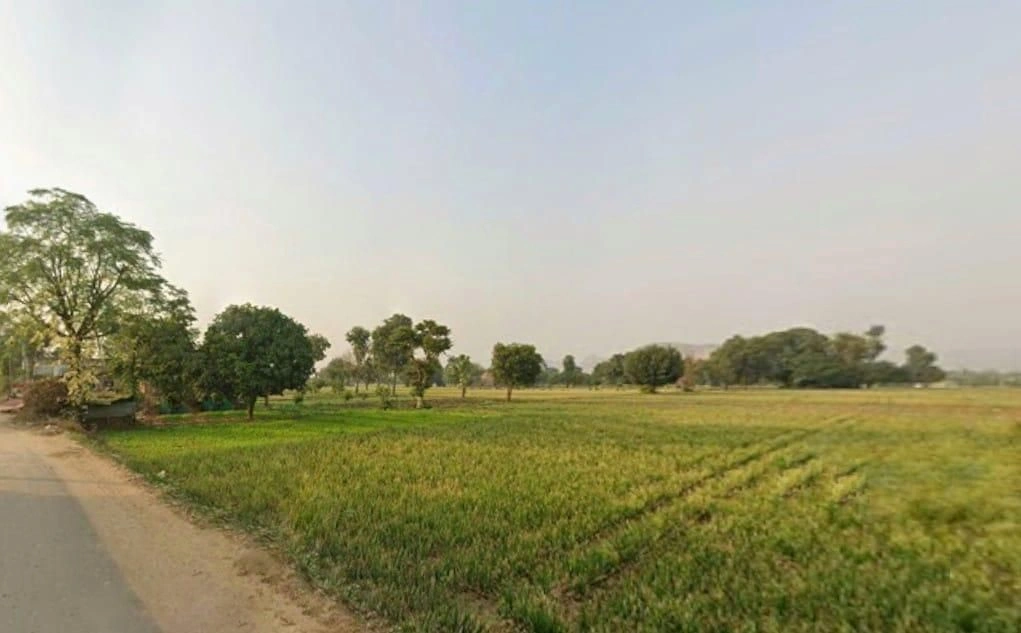 RMH4+JFW, Jhai, Rajasthan, India